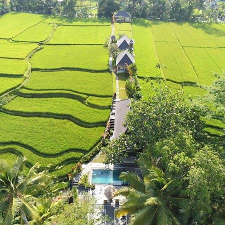 Puri Raya Villa Ubud Exteriér fotografie