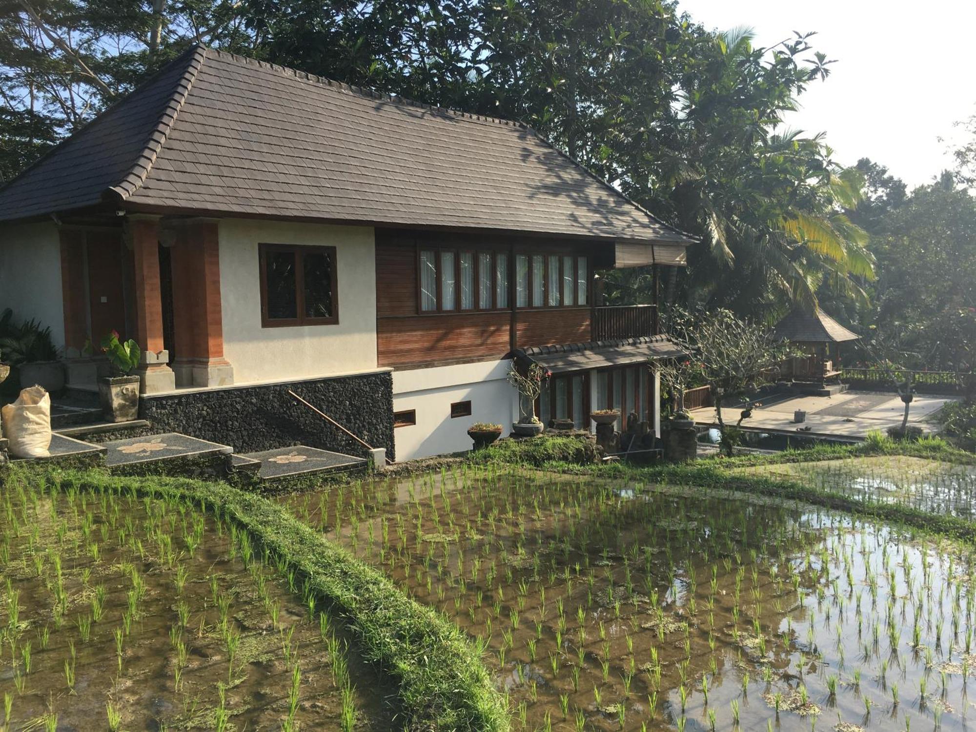 Puri Raya Villa Ubud Exteriér fotografie