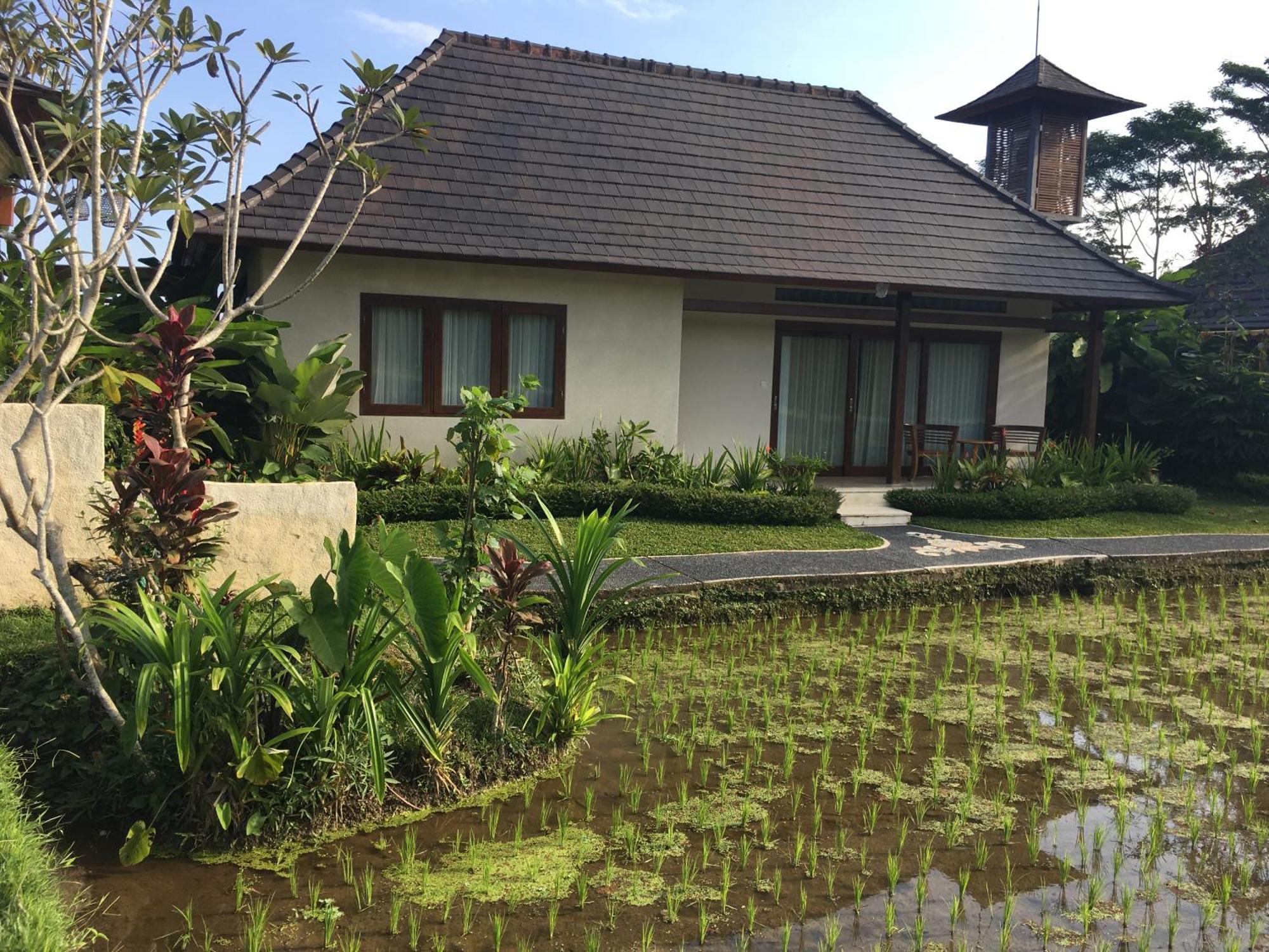 Puri Raya Villa Ubud Exteriér fotografie