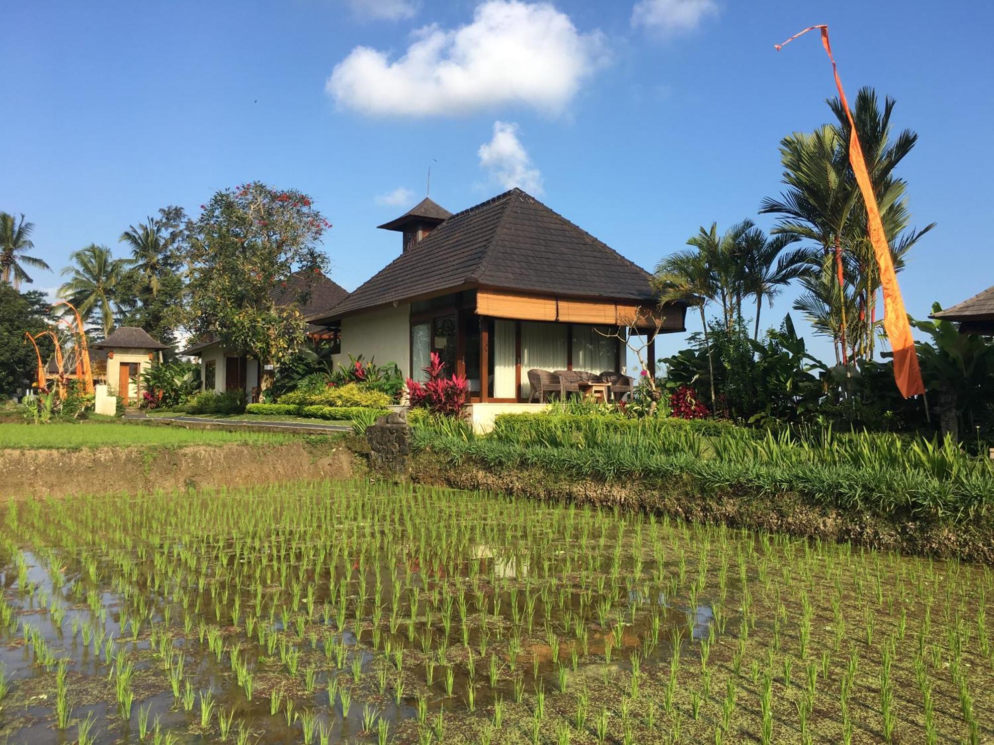 Puri Raya Villa Ubud Exteriér fotografie