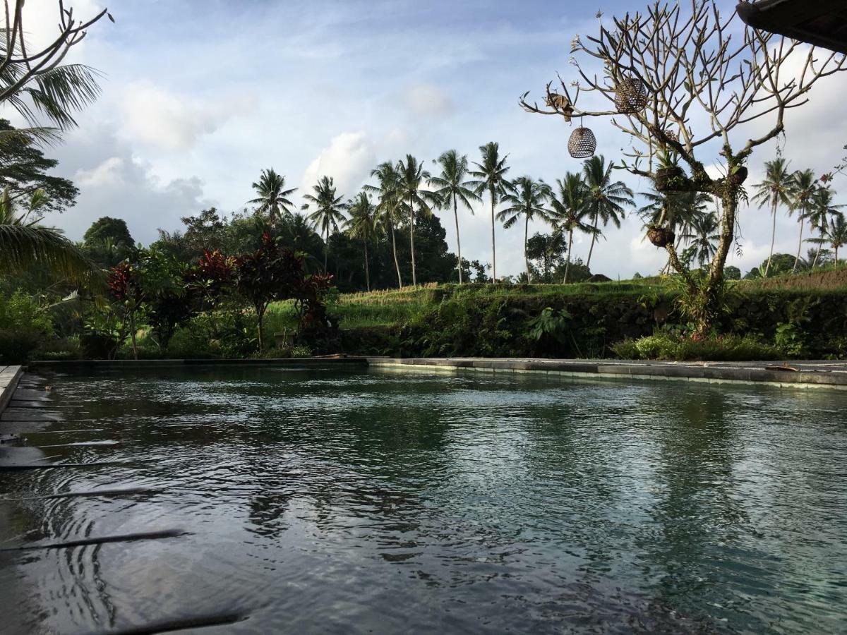 Puri Raya Villa Ubud Exteriér fotografie