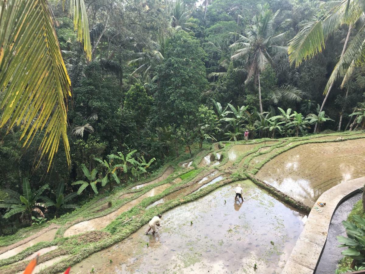 Puri Raya Villa Ubud Exteriér fotografie