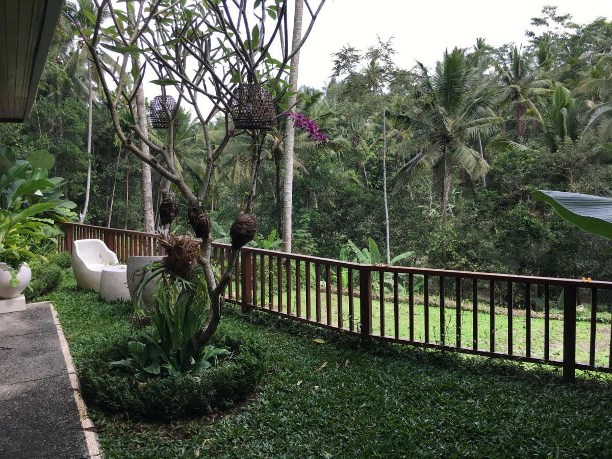 Puri Raya Villa Ubud Exteriér fotografie