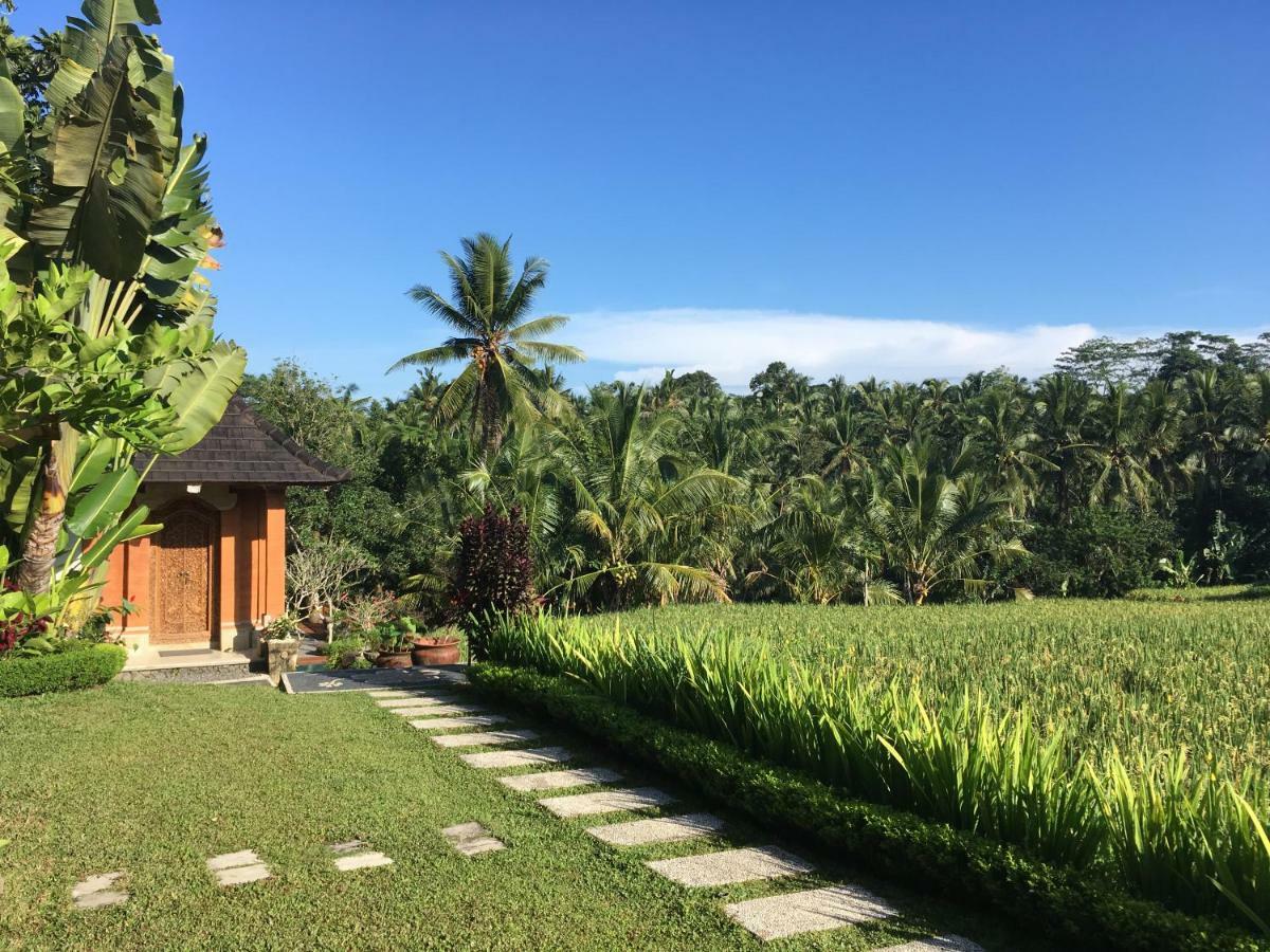 Puri Raya Villa Ubud Exteriér fotografie