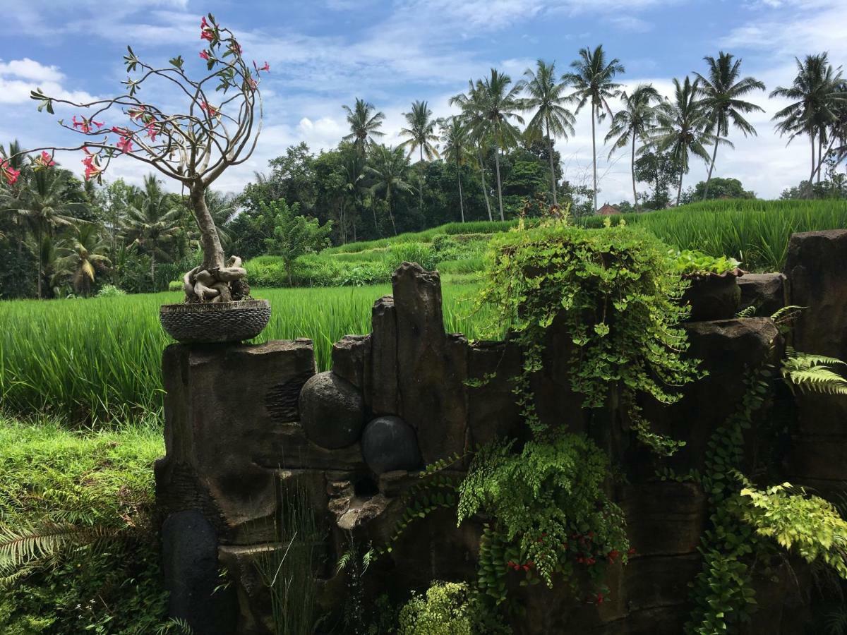 Puri Raya Villa Ubud Exteriér fotografie