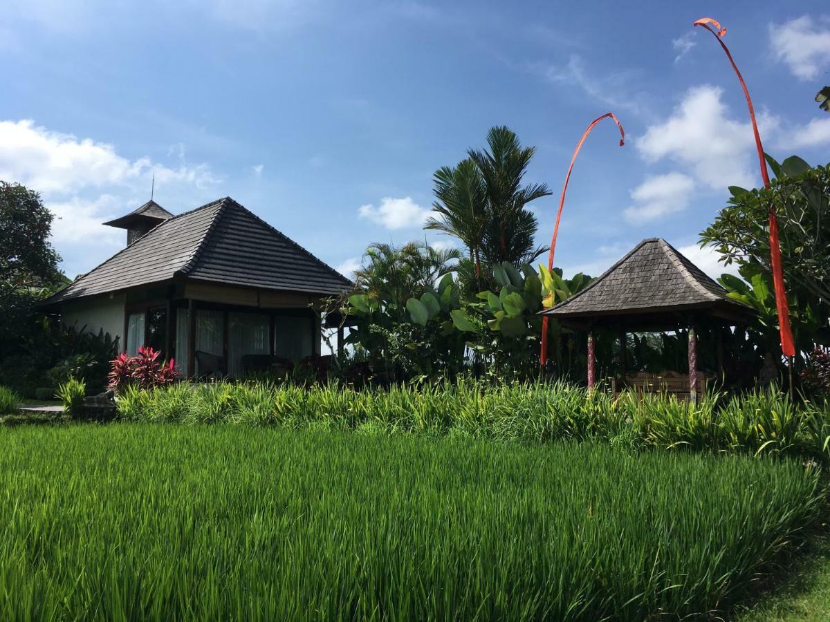 Puri Raya Villa Ubud Exteriér fotografie