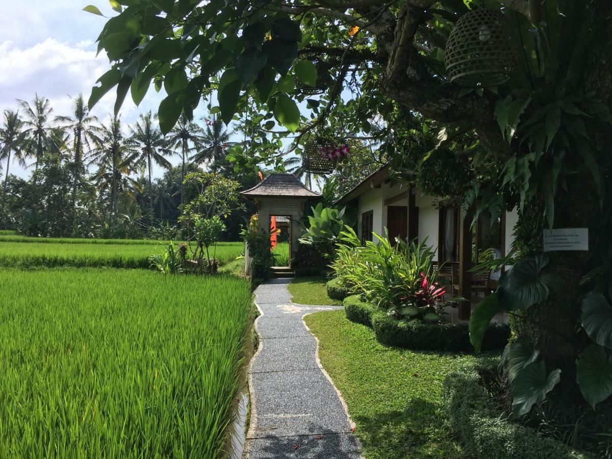 Puri Raya Villa Ubud Exteriér fotografie