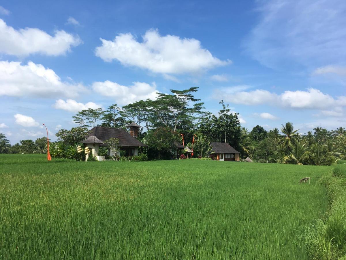 Puri Raya Villa Ubud Exteriér fotografie