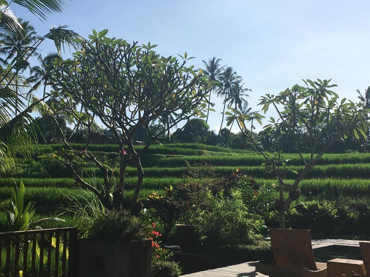 Puri Raya Villa Ubud Exteriér fotografie