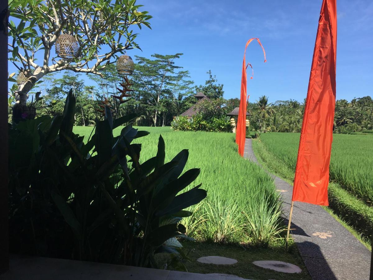 Puri Raya Villa Ubud Exteriér fotografie