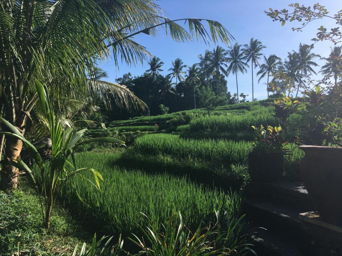 Puri Raya Villa Ubud Exteriér fotografie