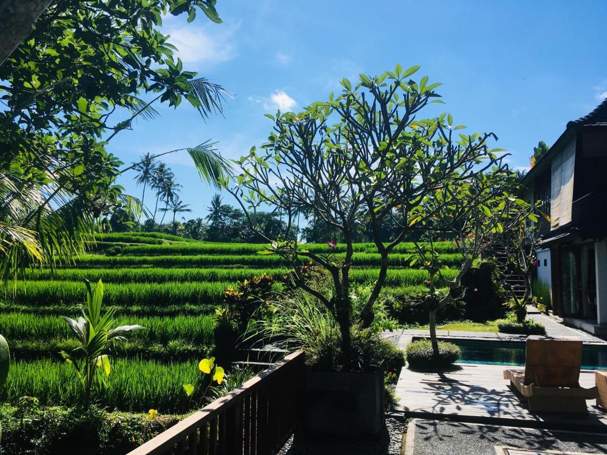 Puri Raya Villa Ubud Exteriér fotografie