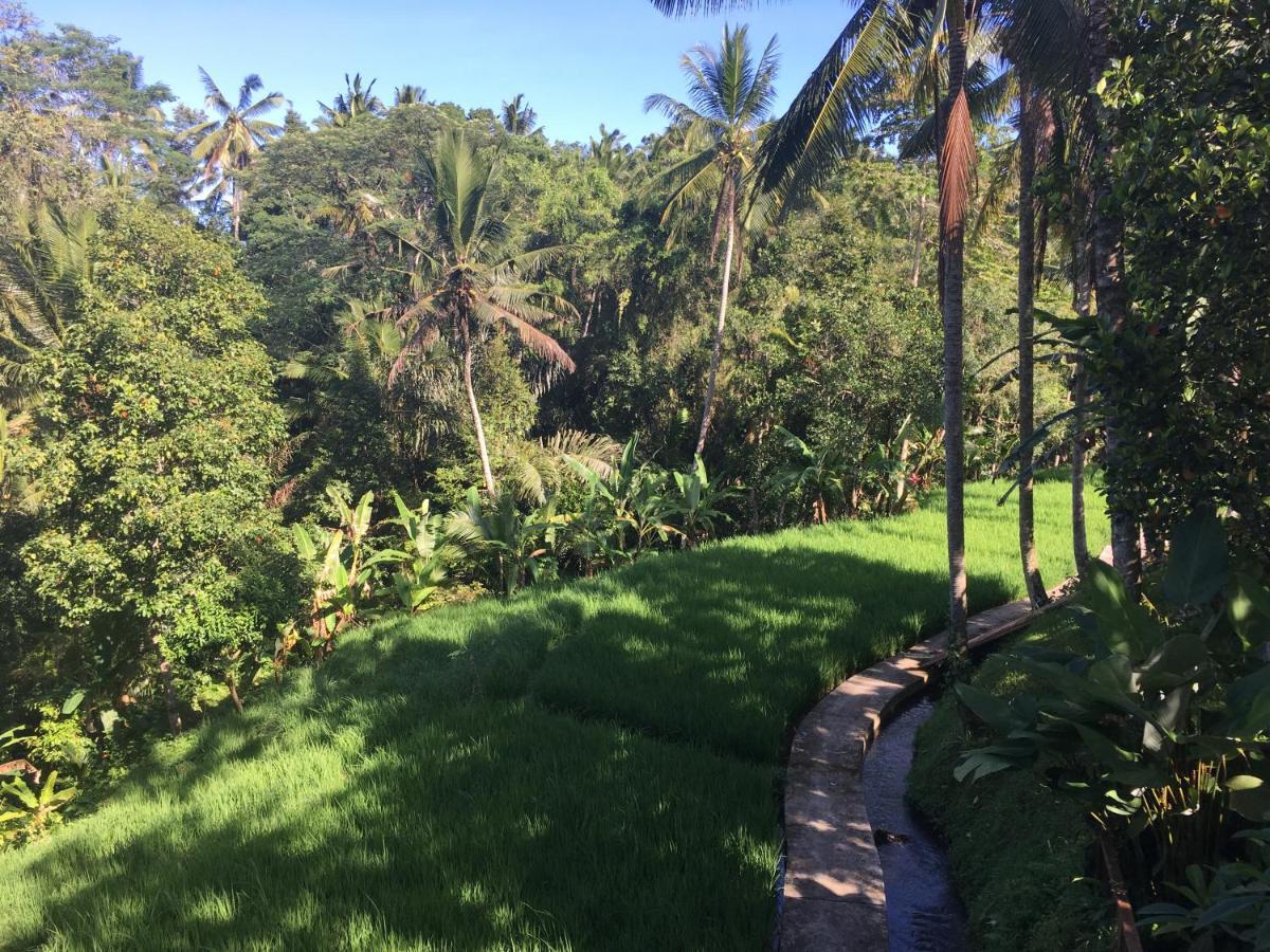 Puri Raya Villa Ubud Exteriér fotografie