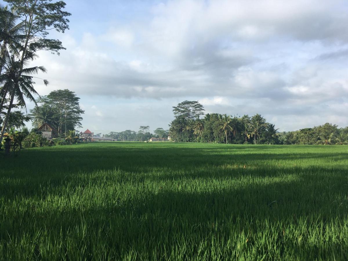 Puri Raya Villa Ubud Exteriér fotografie