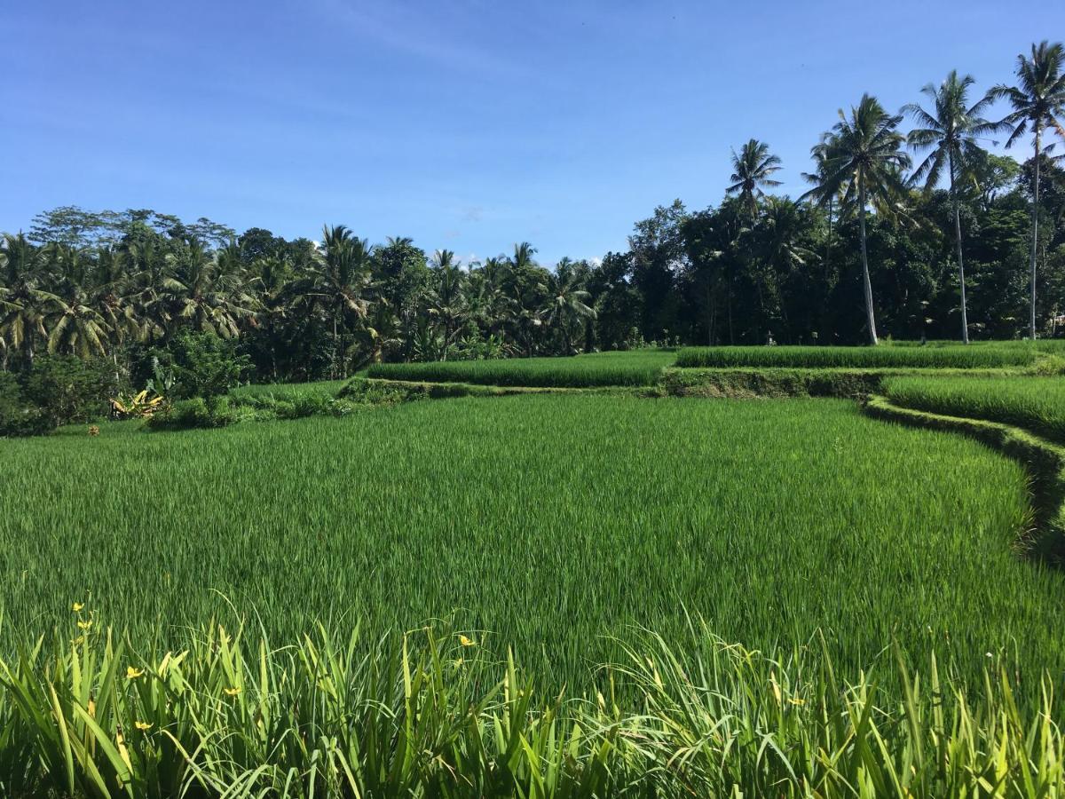 Puri Raya Villa Ubud Exteriér fotografie