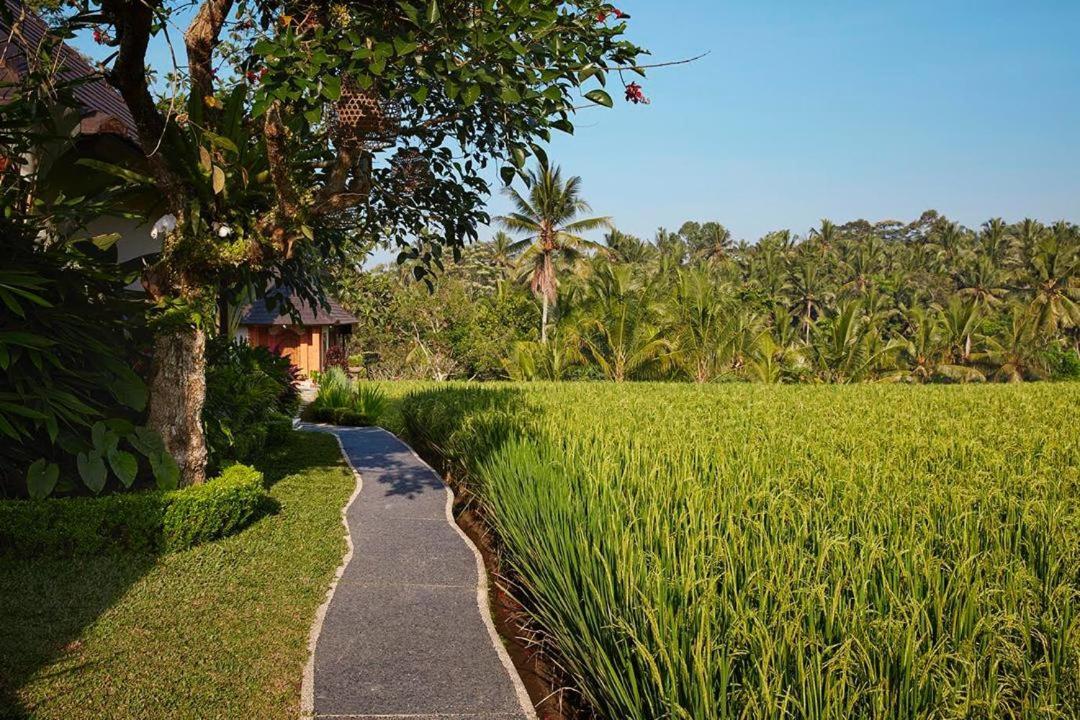 Puri Raya Villa Ubud Exteriér fotografie