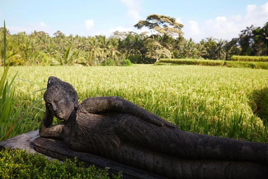 Puri Raya Villa Ubud Exteriér fotografie