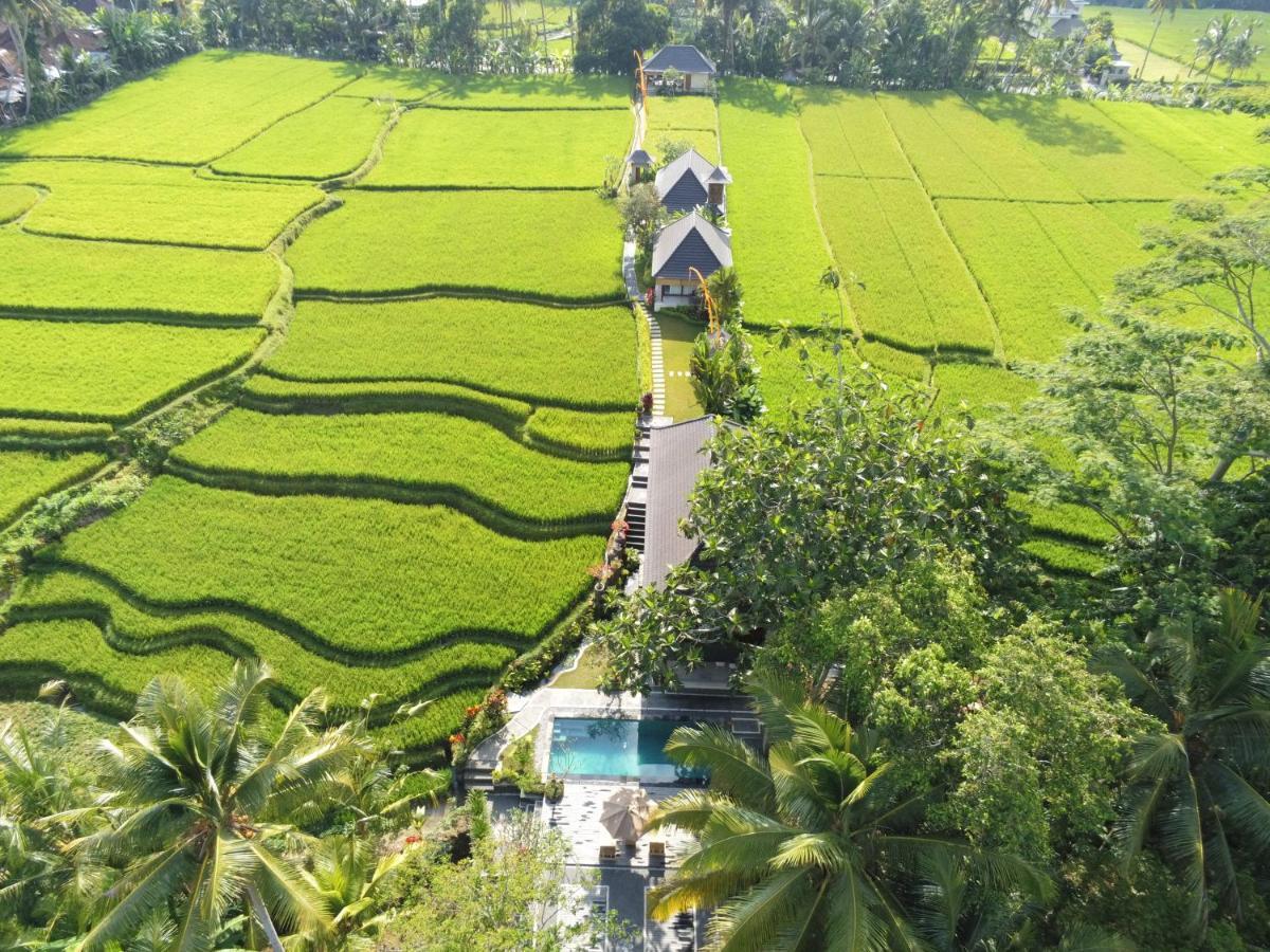 Puri Raya Villa Ubud Exteriér fotografie